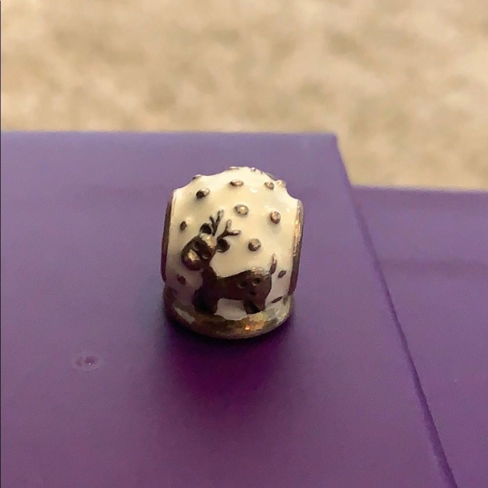 Pandora Christmas Charm